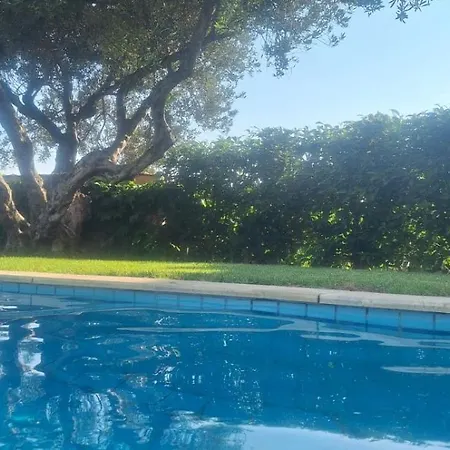 Sea View Manolis With Private Pool Near The فيلة كاليفيس